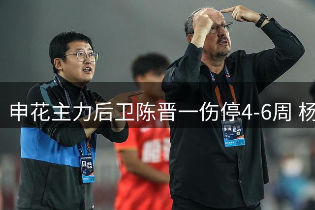 申花主力后卫陈晋一伤停4-6周 杨泽翔或临危受命