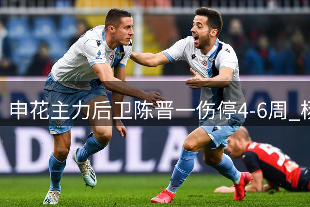 申花主力后卫陈晋一伤停4-6周 杨泽翔或临危受命